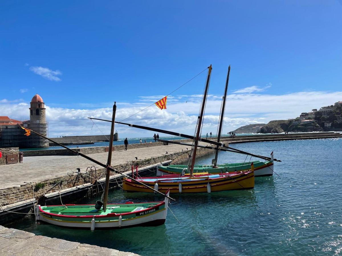 Grand Appart. Avec Terrasse A 300M De La Plage A Collioure - Fr-1-309-261アパートメント エクステリア 写真